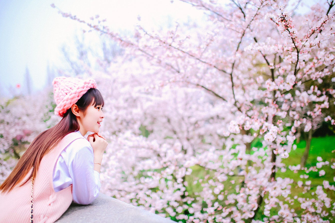 岁月静好，花开相依